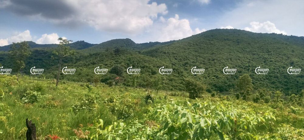 ដីព្រៃសហគមន៍ត្រពាំងធំខាងត្បូងត្រូវបានកាប់បំផ្លាញធ្វើជាកម្មសិទ្ធិឯកជនដែលស្ថិតនៅក្នុងឃុំត្រពាំងធំខាងត្បូង ស្រុកត្រាំកក់ ខេត្ត តាកែវ។ ថតនៅថ្ងៃទី១២ ខែកក្កដា ឆ្នាំ២០២១។ ខេមបូចា/ អាន វិចិត្រ