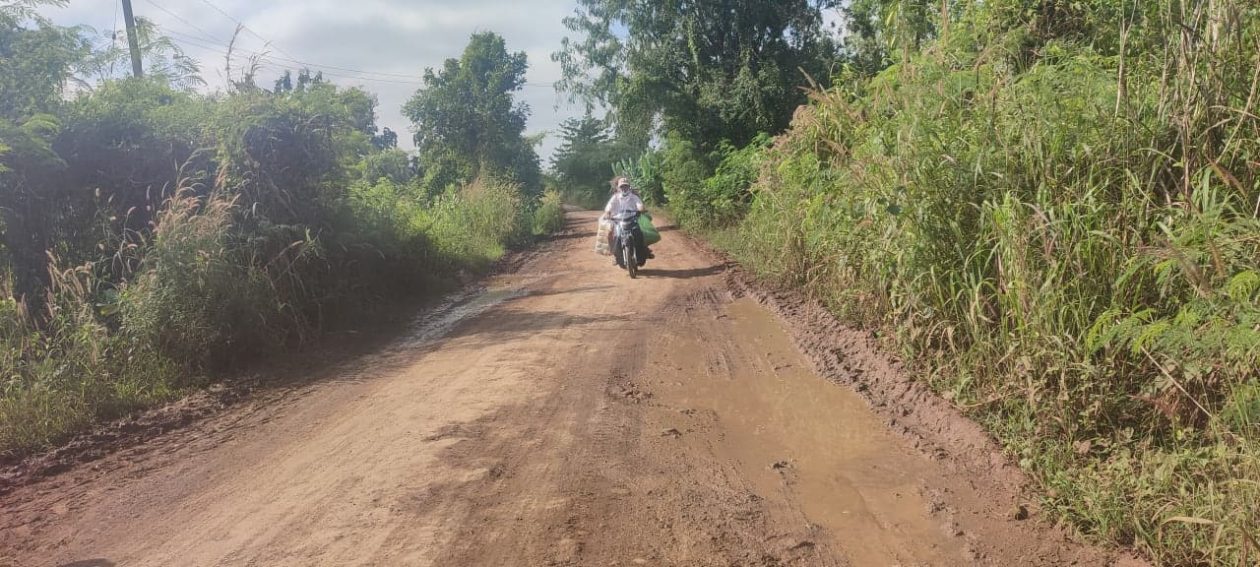 ផ្លូវមួយខ្សែប្រវែងជាង១៤គីឡូម៉ែត្រ ស្ថិតក្នុងឃុំត្រាង ស្រុកកំរៀង ដែលបង្ករការលំបាកដល់ពលរដ្ឋក្នុងការធ្វើដំណើរ។ រូបថត បាន ធារ៉ា