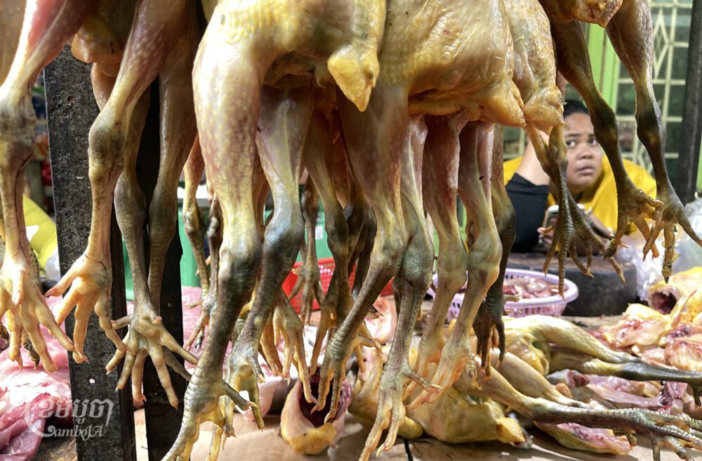 ស្ត្រីអ្នកលក់សាច់មាន់ និងសាច់ជ្រូកម្នាក់ អង្គុយរង់ចាំអតិថិជននៅក្នុងផ្សារមួយ ក្នុងរាជធានីភ្នំពេញ។ រូបថតថ្ងៃទី២៧ ខែធ្នូ ឆ្នាំ២០២៣។ (ខេមបូចា/ ព្រីង សំរាំង)
