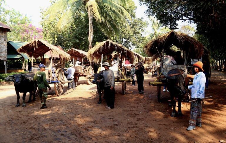 អ្នកភូមិនៅក្នុងសហគមន៍រទេះក្របីដឹកភ្ញៀវទេសចរបរទេសកម្សាន្តនៅជុំវិញភូមិជ្រៃ ឃុំទឹកវិល ស្រុកពួក ខេត្តសៀមរាប ក្នុងអំឡុងខែកុម្ភៈ ឆ្នាំ២០២៤ ។ (ផេកហ្វេសប៊ុករបស់រដ្ឋបាលខេត្តសៀមរាប)