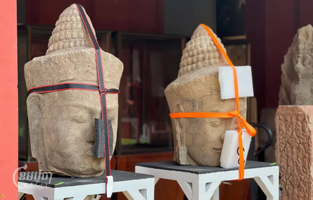 ព្រះកេស «ទេវតា» ពីរ តាំងពីសម័យអង្គរ ដែលទើបត្រូវបានធ្វើមាតុភូមិនិវត្តន៍នាពេលថ្មីៗ ពីសហរដ្ឋអាមេរិកកាលពីខែសីហា ពេលនេះត្រូវបានរក្សាទុកនៅសារមន្ទីរជាតិ។ រូបថតថ្ងៃទី៥ ខែកញ្ញា ឆ្នាំ២០២៤។ (ខេមបូចា/ លី រូស្សឡាន)
