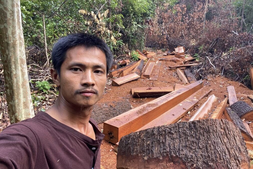 រូបភាពលោក ម៉ា ចិត្រា សកម្មជនបរិស្ថានឈរក្បែរដើមឈើធំមួយដើមស្ថិតក្នុងដែនជម្រកសត្វព្រៃព្រះរកា ដែលលោកអះអាងថាត្រូវបានកាប់បំផ្លាញ អំឡុងពេលលោកចុះល្បាតព្រៃជាមួយប្រជាសហគមន៍កាលពីថ្ងៃទី៥ ខែឧសភា ឆ្នាំ២០២៥។