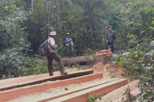 សកម្មជនបានរកឃើញចម្រៀកក្តារដែលត្រូវបានកាត់ចេញពីដើមឈើធំៗនៅក្នុង ក្នុងដែនជម្រកសត្វព្រៃ «ព្រៃឡង់» ដែលការកាប់ឈើខុសច្បាប់បានកើនឡើងយ៉ាងគំហុកក្នុងប៉ុន្មានឆ្នាំចុងក្រោយនេះ ថ្ងៃទី២៦ ខែវិច្ឆិកា ឆ្នាំ២០២៣។ (រូបភាព៖ ផ្តល់ឱ្យ)